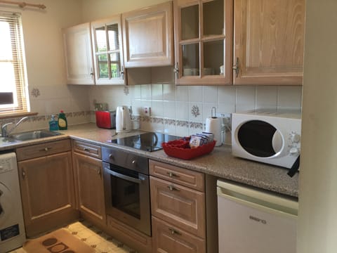Two-Bedroom Apartment | Private kitchen | Full-size fridge, microwave, oven, stovetop