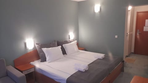 Comfort Triple Room | Desk, iron/ironing board, free WiFi, bed sheets