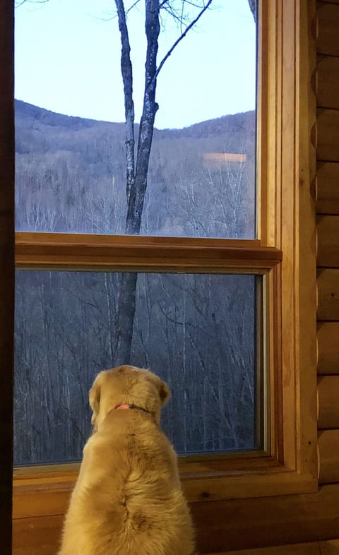 Enjoying the view from the sunroom