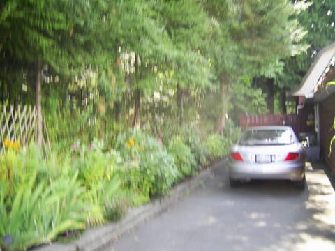 Driveway to cottage