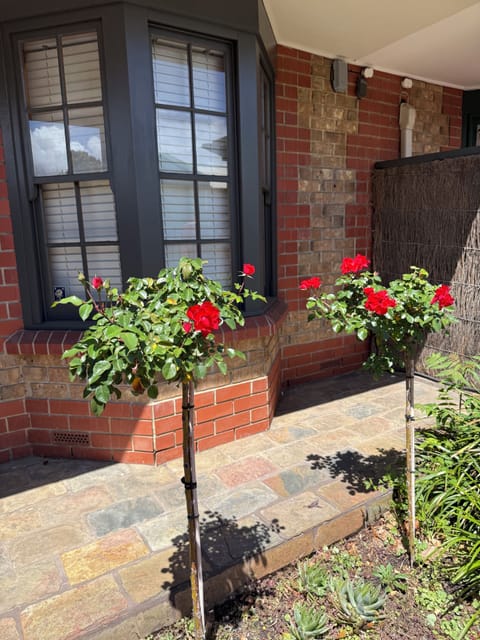 Stunning front of home - comfort and style in our getaway home in North Adelaide