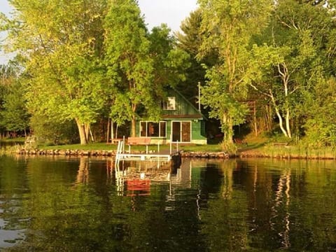 Loon Lakeside cabin view 