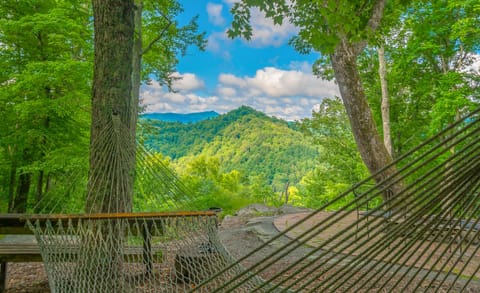 Outdoor Hammock with Long Range Views near the Fire Pit