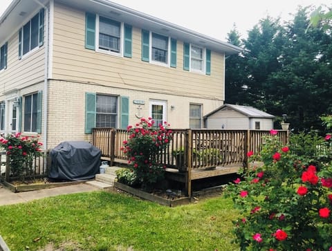 Back deck with gas grill below