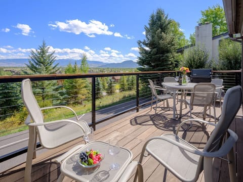 Deck Off of Living Room