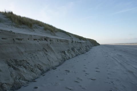 On the beach