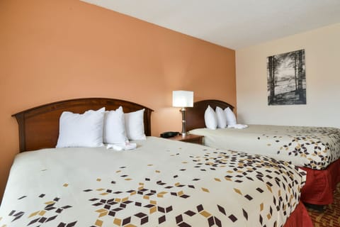 Superior Room, 2 Queen Beds, Non Smoking | Living area | 25-inch TV with cable channels