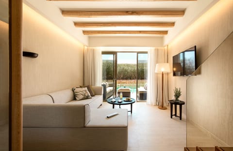 50-inch flat-screen TV with satellite channels, TV