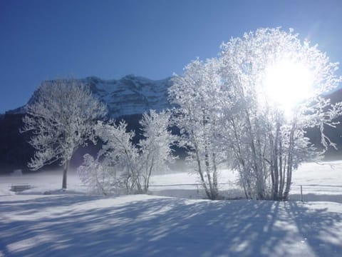 Hirschberg 1 - House Metzler Apartment in Vorarlberg, Austria
