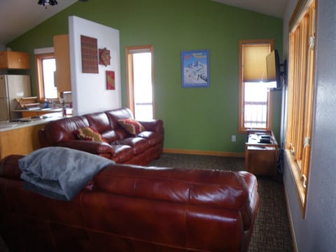 Another view of the living room