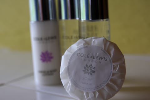 Superior Suite, Ensuite (room 3 or 4) | Room amenity