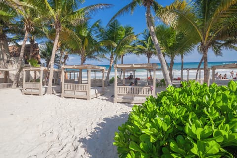 Private beach, white sand, free beach cabanas, sun loungers