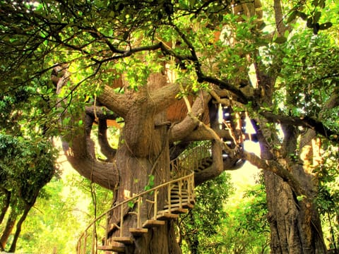 Tree House Machan | In-room safe, individually decorated, individually furnished