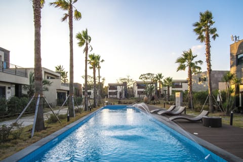 Seasonal outdoor pool, sun loungers