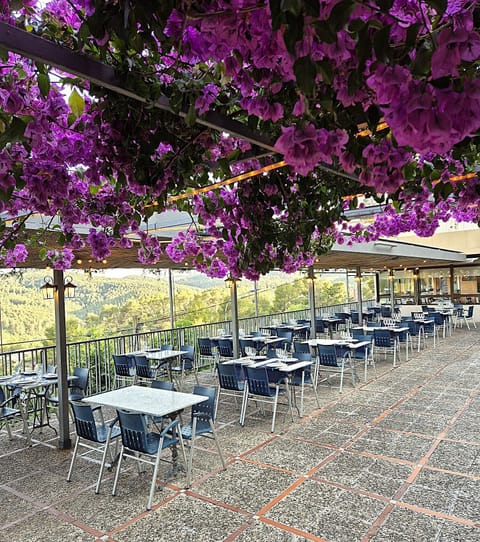 2 restaurants; lunch and dinner served
