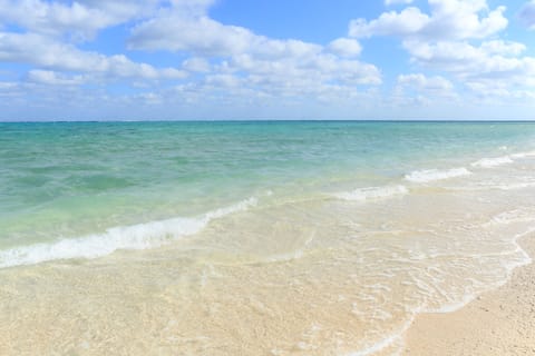 On the beach