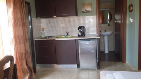 Studio | Private kitchenette | Fridge, stovetop, coffee/tea maker, cookware/dishes/utensils