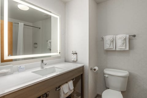 Combined shower/tub, free toiletries, hair dryer, towels