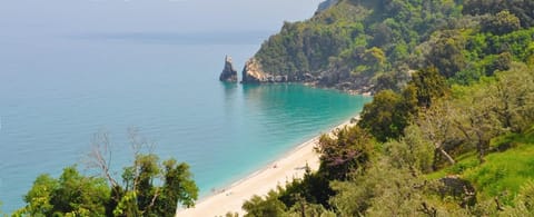 Beach nearby, sun loungers, beach umbrellas, beach yoga