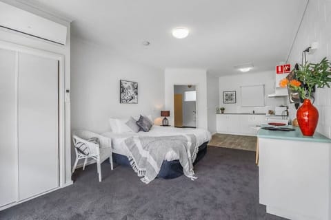 Bright studio-style apartment in Geelong CBD with comfortable bed, kitchenette and modern coastal styling.