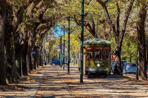 Street car tunneled by our beautiful oaks.