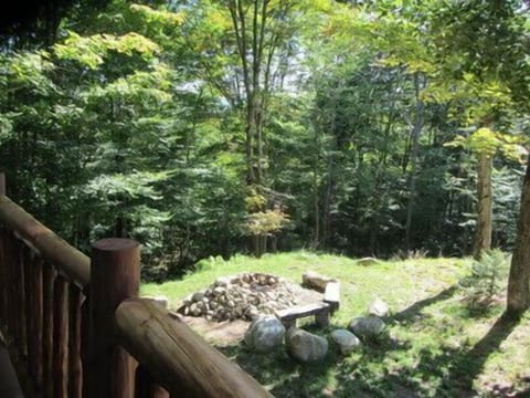 Outdoor Fireplace from Back Deck (summer)