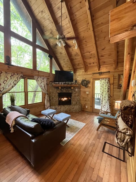 Living Area & Fireplace 