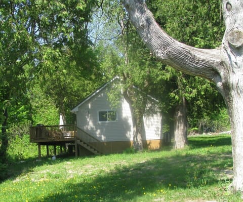 The Pine Cottage