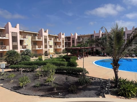 Garden and pool
