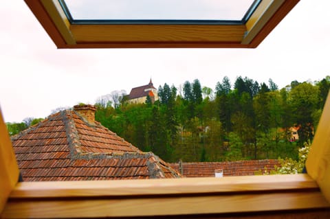 Hill view