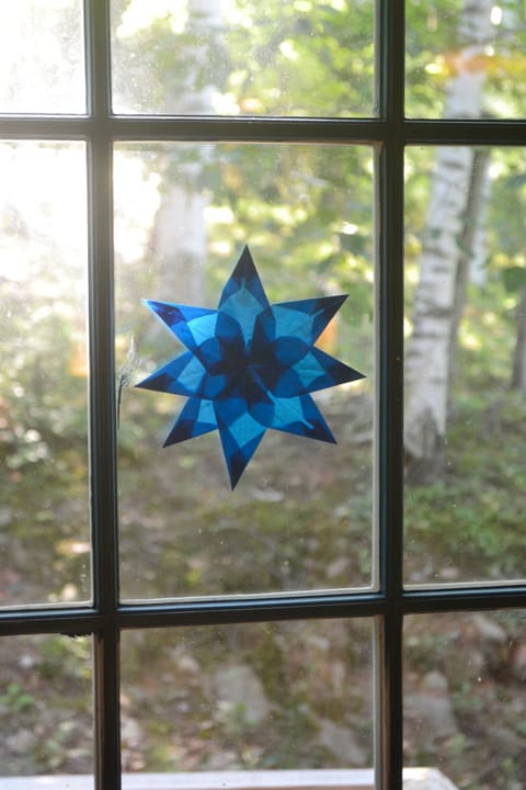 The beautiful white birches that hold our little hill together. 