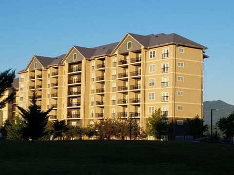 Mountain View Condos