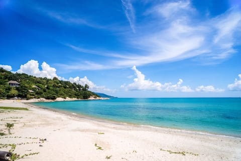 Beach nearby, beach bar, motor boating