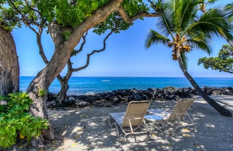 Enjoy the cool Ocean breezes while lounging in the shade or sun tanning in the o