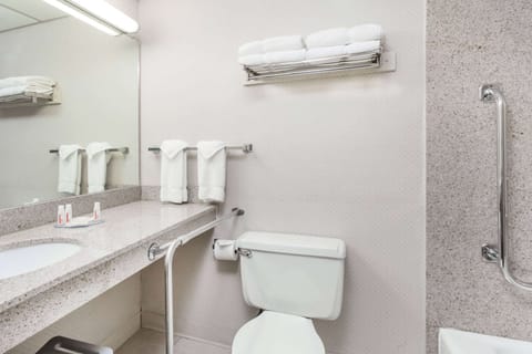 Combined shower/tub, free toiletries, hair dryer, towels