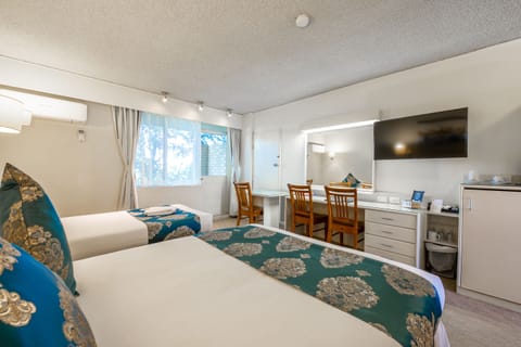 Deluxe Twin Room | Desk, iron/ironing board, WiFi (free), alarm clocks