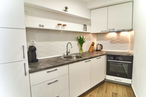 Superior Apartment, 2 Bedrooms | Private kitchen | Fridge, stovetop, dishwasher, coffee/tea maker