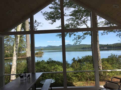 View from inside the screened in porch
