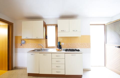 Apartment, 1 Bedroom (1) | Private kitchen | Fridge, coffee/tea maker
