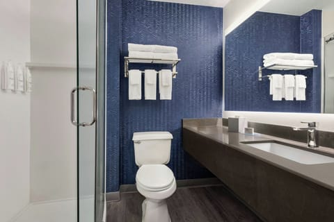 Combined shower/tub, free toiletries, hair dryer, towels