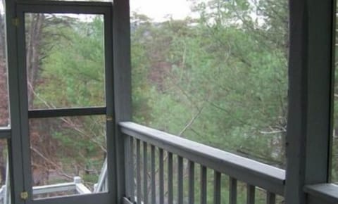 Screened Porch with Mountain View