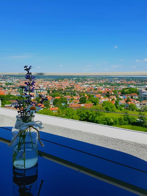 Exclusive Studio | Terrace/patio