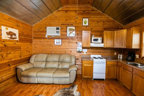Tree House Cabin ** No Pets Allowed | Living area | Flat-screen TV, DVD player