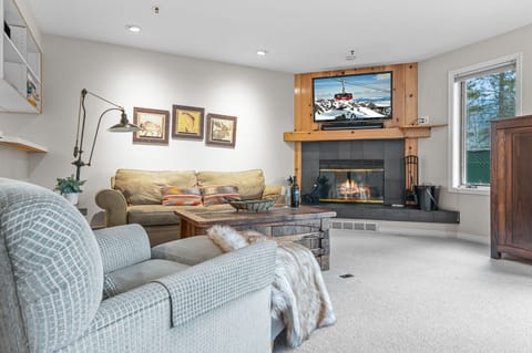 Living Room with Wood Fireplace TV and Sofa Bed