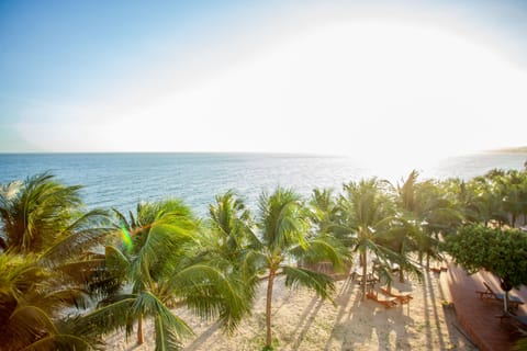Family Room (Garden View) | View from room