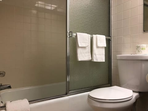 Free toiletries, hair dryer, towels, soap