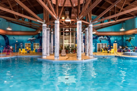 Indoor pool, 3 outdoor pools, sun loungers