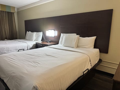 Premium bedding, blackout drapes, iron/ironing board, free WiFi