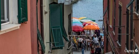 El Nin Apartment with Terrace Apartment in Vernazza