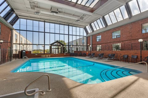 Indoor pool, sun loungers